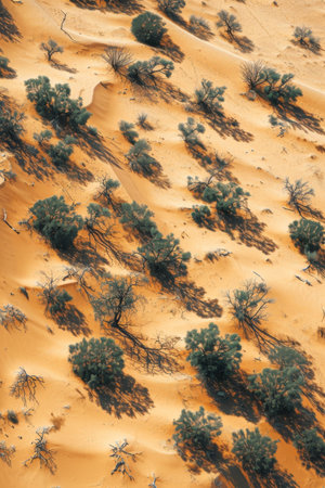 Group of Plants Growing Out of the Sandの素材