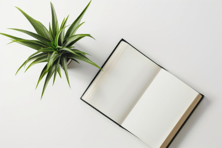 An open book laid on a white background with a green plant placed on top.の素材