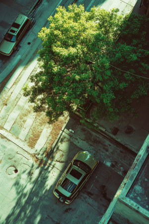 Aerial View of Parking Lot and Treeの素材