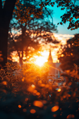 Sun Shining Brightly Through Trees in a Serene Forest Landscapeの素材