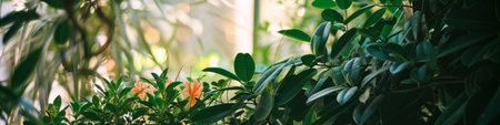 Vibrant Collection of Plants in a Roomの素材