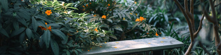 A Bench in the Middle of a Lush Green Forestの素材