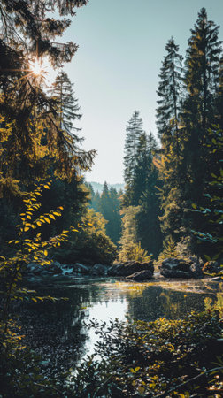 Lake surrounded by trees in forestの素材