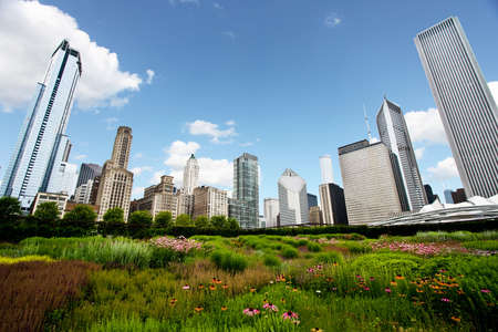 Chicago Skyline over Gardensの写真素材