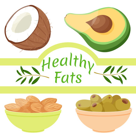 Healthy fats coconut, avocado, almond and olive. Vegetables and nuts with good fats, vector illustration.のイラスト素材