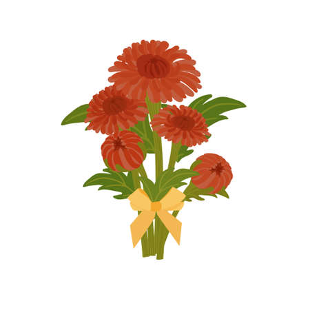 Autumn chrysanthemums with green leaves on a white background. Autumn flowers.のイラスト素材