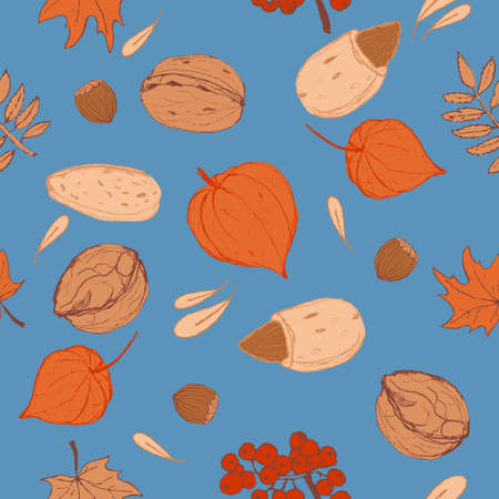 Pattern of different nuts, leaves, ashberry and physalisのイラスト素材