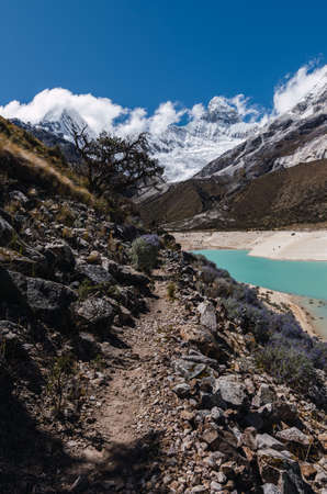 Trekking path with tree in the turquoise lagoon of paron and with snowy high mountain peaks in the background, peruの写真素材