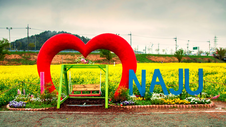 Yangsang river rape flower Park, Naju, South Koreaの写真素材