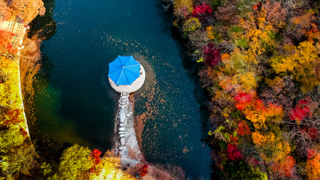 colorful aerial view of Autumn at Naejangsan National Park, South Korea.