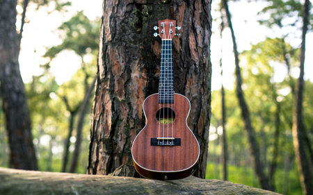 Ukulele on a tree in the forest. Selective focus.の写真素材