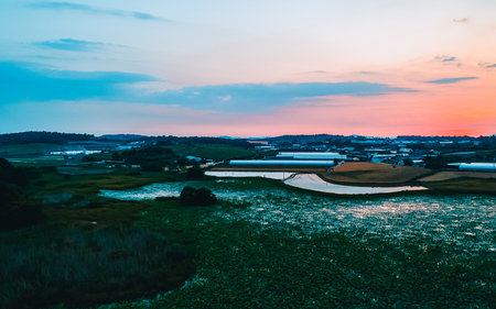 Aerial view of rural landscape in the evening at sunset. Countryside scenery.  in South korea