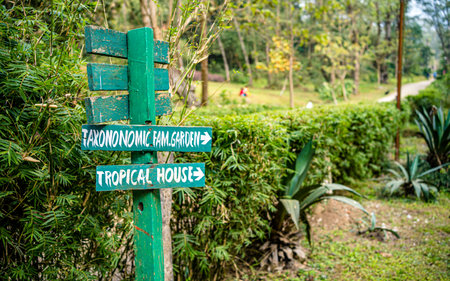 Signpost in tea plantation, Thailand. (Selective focus)
