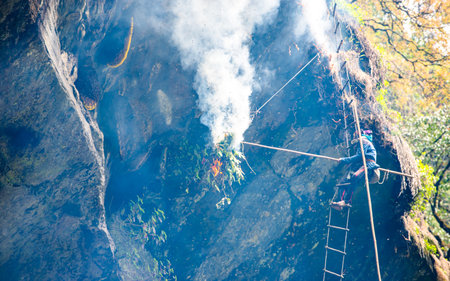 Man climbing on the ladder to reach the top of the cliff for Wild honey Hunting in Nepal.