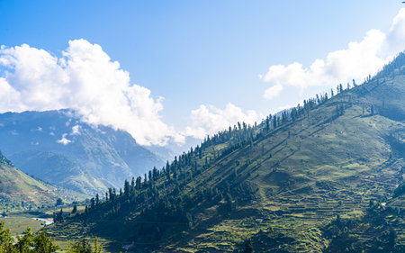 landscape view of Terraced rice field in sinja valley, Karnali, Nepal.の写真素材