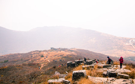 landscape view of colorful mountain during Autumn season in Mudeunsan, Gwangju, South Korea.の写真素材
