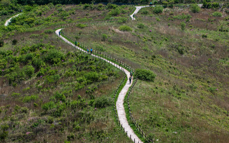 Hiking trail on top of the mountain in Mudeungsan, Gwangju, South Korea.の写真素材
