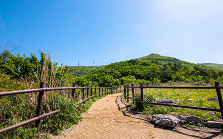 Hiking trail on the mountain Mudeungsan  in Gwangju, South Koreaの写真素材