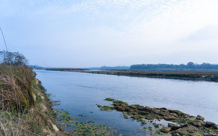 River in the forest in winter season. Beautiful nature landscape with river.
