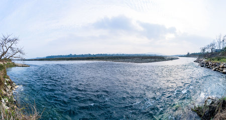Panoramic view of a river in the middle of the forestの写真素材