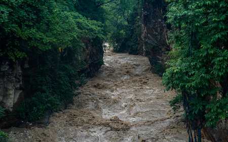 Small river flowing through the jungle.の写真素材