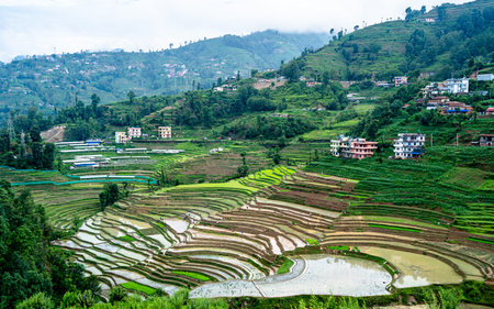 Landscape view of Rice terraces at Nepal.の写真素材