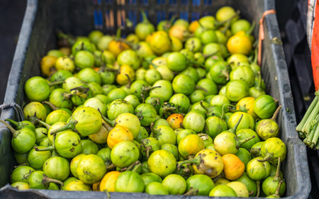 Fruits and vegetables in the street market in Nepal.の写真素材