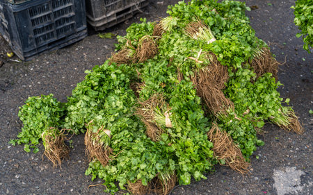 Fruits and vegetables in the street market in Nepal.の写真素材