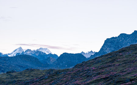 Mountain landscape with snow-capped peaks and pink flowers.
