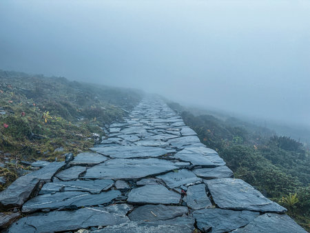 Stone walkway in the mist, Doi Inthanon National Park, Chiang Mai, Thailandの写真素材