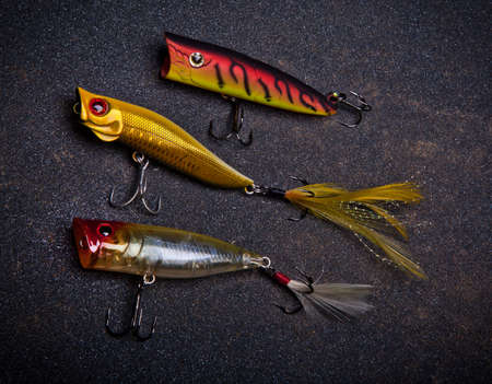Fishing plastic bait Wobblers