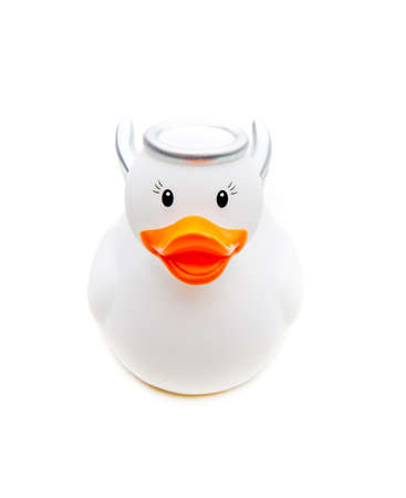 funny bathrooms ducks studio qualityの写真素材