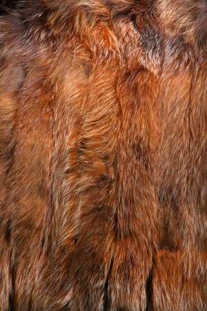 Natural Wool Texture Animals