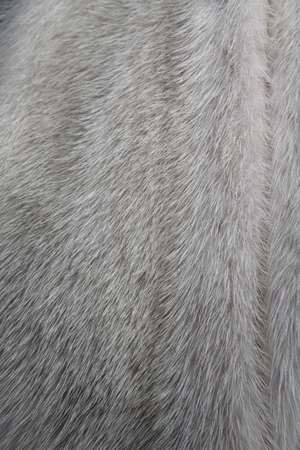 Natural Wool Texture Animals