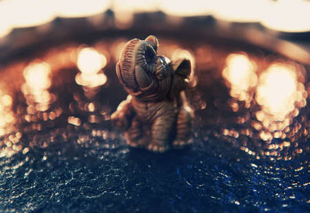 Elephant figure Animal studio quality lightの写真素材