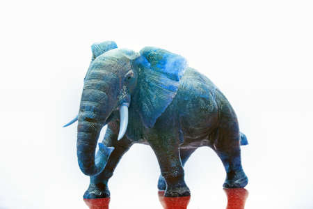 Elephant figure Animal studio quality lightの写真素材