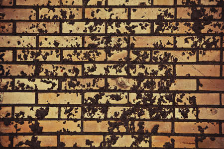 sharped old wall Moscow street