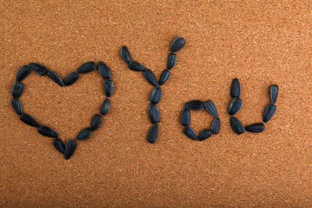 Black Sunflower seedsの写真素材