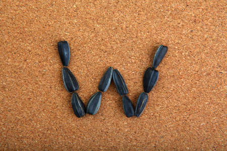 Black Sunflower Seedsの写真素材