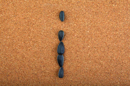 Black Sunflower Seeds
