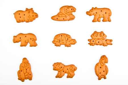Chocolate baby cookies animals studio qualityの写真素材