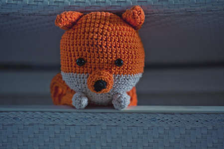 Wool Toy Home interiorの写真素材