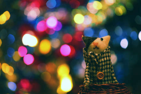 Wool Cat Toy Studioの写真素材