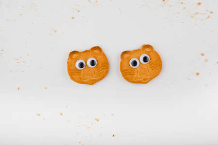 Cat Face Cookies studio