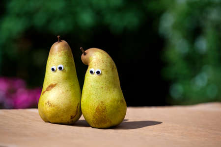 Pears Fruits Summer Gardenの写真素材