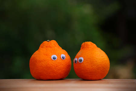 orange mandarine summer gardenの写真素材