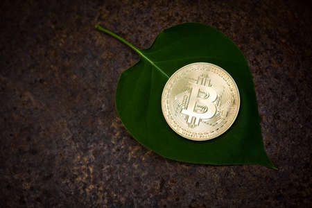 gold bitcoin coin