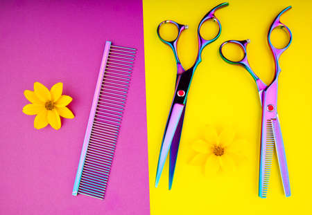 hairstyle tools scissors studio