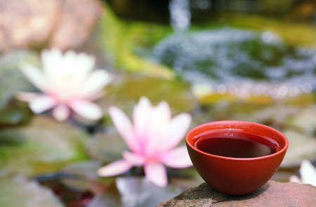 Black Chinese Tea gardenの写真素材