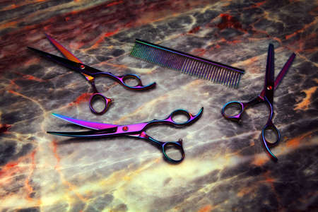 hairstyle tools scissors studio